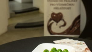 Děkujeme Mia Chocolate na degustaci čokoládových pralinek