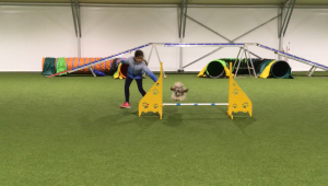 S Chloe na agility závodech