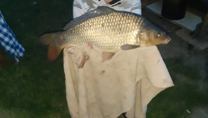 ... a může se pyšnit parádními úlovky